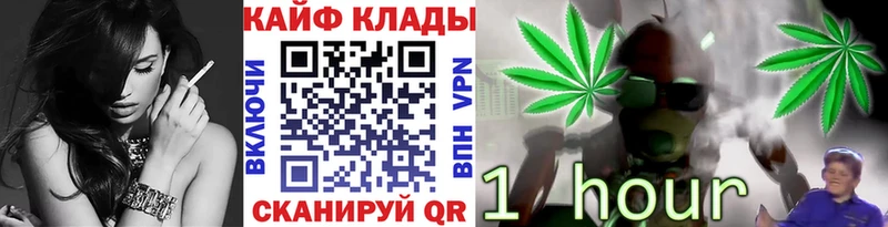 Где купить Петровск Cocaine Псилоцибиновые грибы Мефедрон ГАШ Канабис